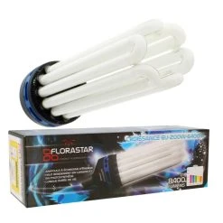 Lampe CFL 200W Croissance 6400K - FLORASTAR