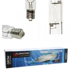 Ampoule MH 600W Croissance - FLORASTAR