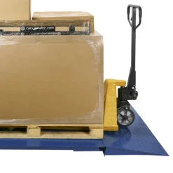 Primematik Rampe Métallique Pour Balance Industrielle Au Sol 100 Cm -Tanita boutique bv07300 05