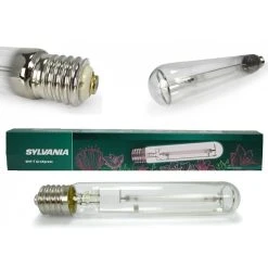 Ampoule 400W SHP-T GROXPRESS Sylvania - Floraison