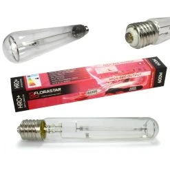 Ampoule HPS 600W HRO Floraison - FLORASTAR