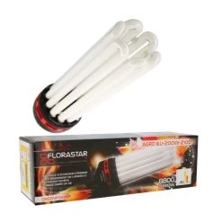 Lampe CFL 200W Floraison 2100K - FLORASTAR