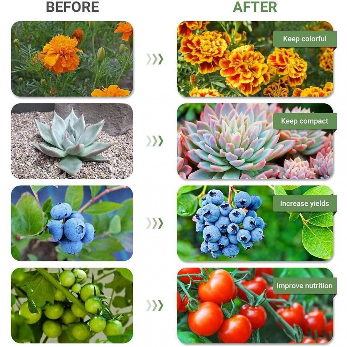 Justgreenbox LED élèvent Des Ampoules à Spectre Complet UV IR Lampe De Culture H... 2 Justgreenbox LED élèvent Des Ampoules à Spectre Complet UV IR Lampe De Culture H... – Image 2