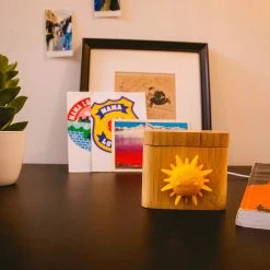 Spinny Sunshine + Box Connectée Lovebox Couleur & Photo 13 Spinny Sunshine + Box Connectée Lovebox Couleur & Photo -Tanita boutique spinnies sun fp 2 1140x1140 1